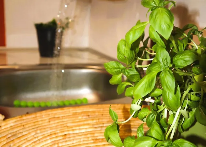 La Rosalie Tatil Evi